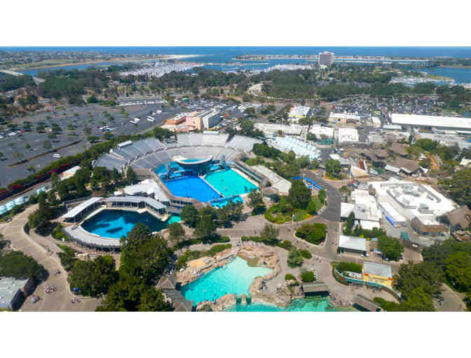 4 Single Day Admission Tickets to SeaWorld San Diego