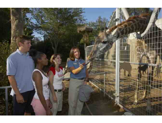 San Diego Zoo Behind The Scenes Tour and Admission for 4