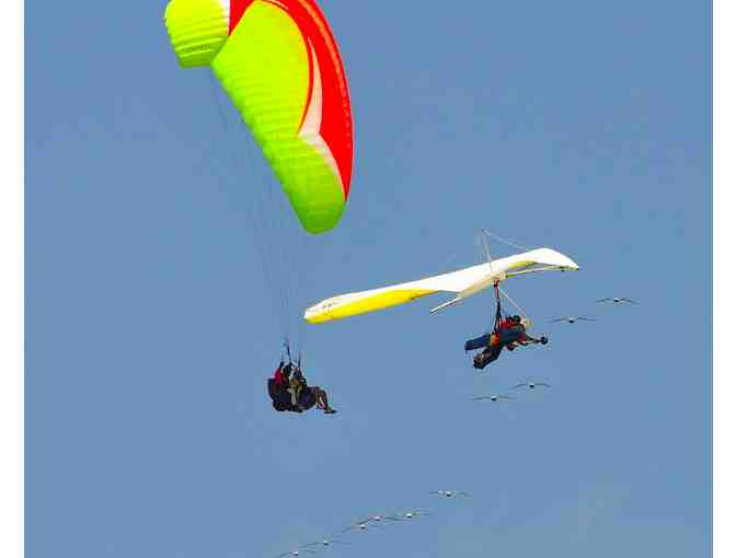 Take a Tandem Paragliding Flight from Torrey Pines Gliderport - Photo 2