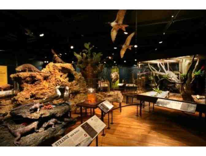 Catamaran Resort Hotel & SD Natural History Museum