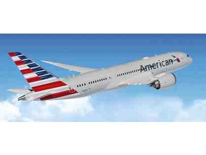 60,000 American Airlines Miles--Good for Two (2) Round Trip Tickets