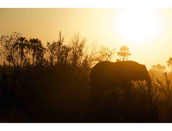 South African hunting safari