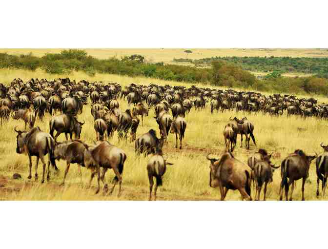 South African hunting safari
