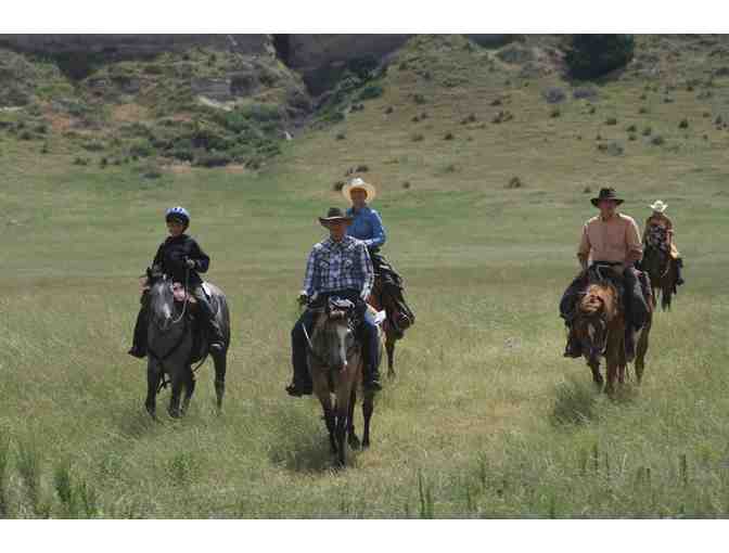Stay at Working Cattle Ranch for 4 Guests