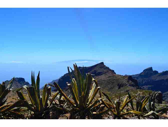7 Nights Cycling in Canary Islands for 2 - Photo 8