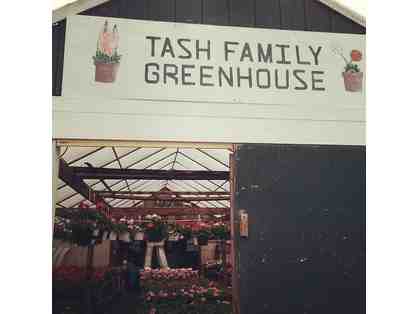 $50 Gift Certificate - Tash Family Greenhouses