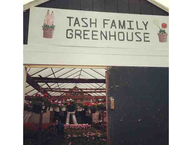 $50 Gift Certificate - Tash Family Greenhouses - Photo 1