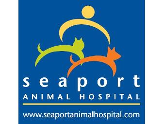 Seaport Animal Hospital One Pet Annual Exam and Vaccinations