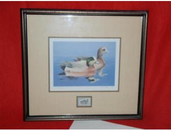 1984 Federal Duck Stamp Framed Print entitled the 'Widgeon' by William  Morris