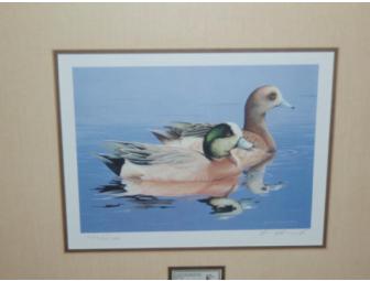 1984 Federal Duck Stamp Framed Print entitled the 'Widgeon' by William  Morris