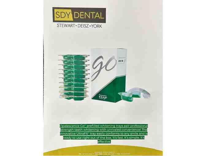 SDY Dental Tooth Whitening Basket 1 - Photo 2