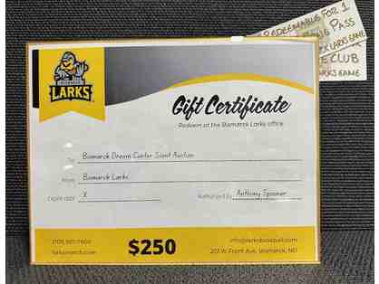 Bismarck Larks Baseball Home Plate package and $250 Merchandise Gift Card