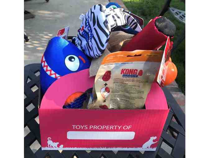 KONG Dog Toys Basket