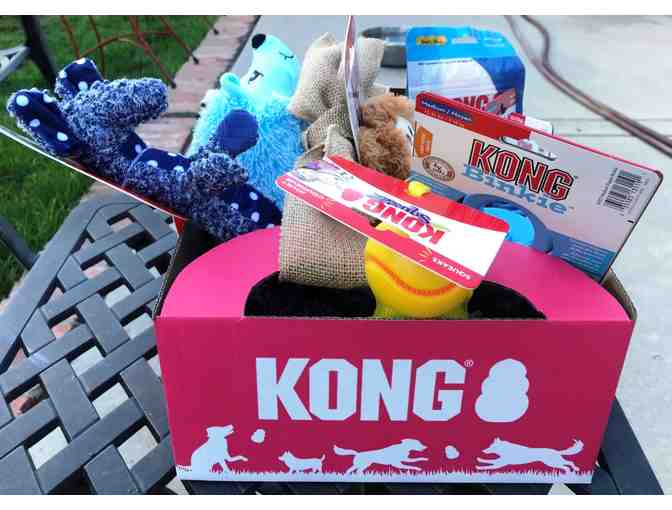 KONG Puppy Toys Basket