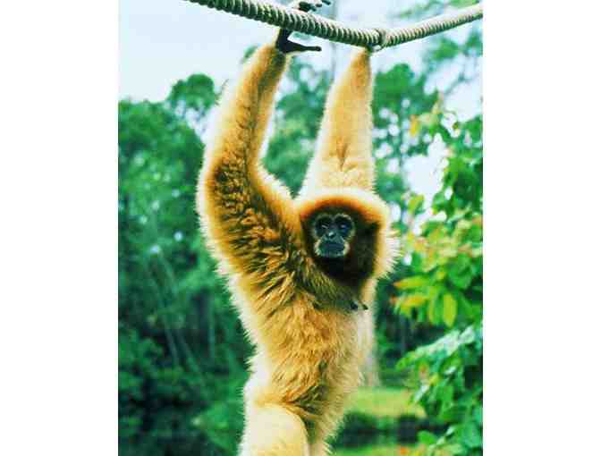 Family Pack to Naples Zoo (NAPLES, FL)