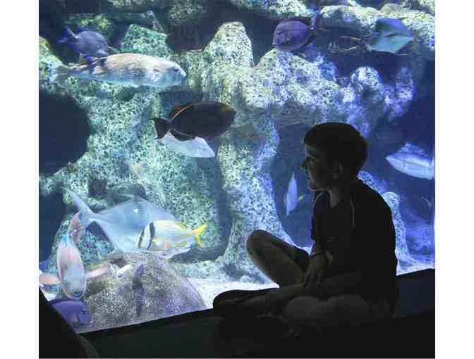 Family Pack to Oklahoma Aquarium (JENKS, OK)