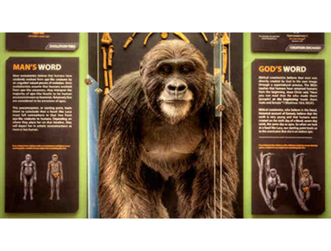 A Ball of a Time! (LEXINGTON/PETERSBURG, KY) **BUY NOW**