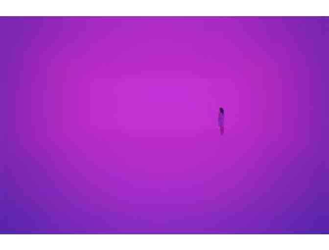 Admission Passes to the Los Angeles County Museum of Art (LOS ANGELES, CA)