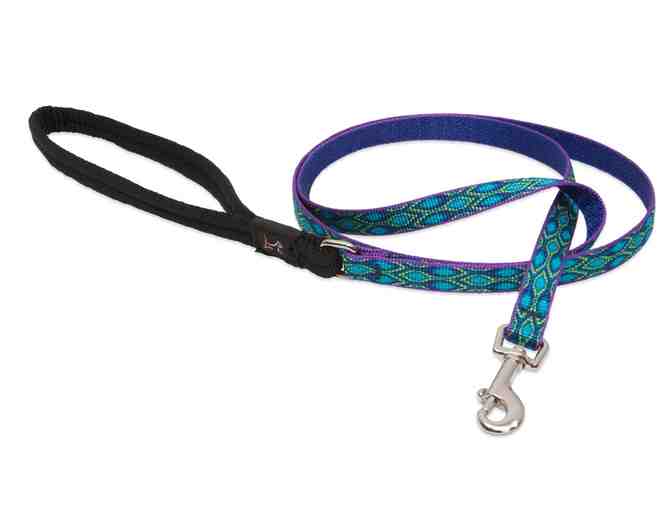 Lupine Dog Leash and Collar