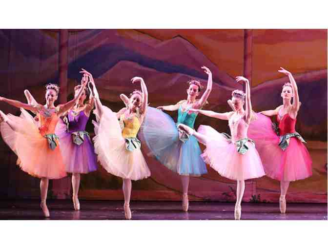 Ticket Voucher for a State Theatre New Jersey Presented Event (New Brunswick, NJ)