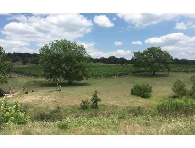 Four Wine & Disc Packages at Flat Creek Disc Golf Destination (Marble Falls, TX)