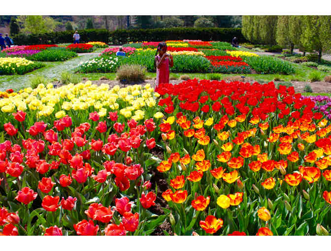 Two Admission Tickets to Longwood Gardens (Kennett Square, PA)