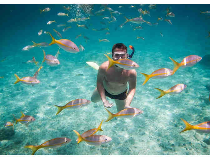 5 Night All-Inclusive Cabo Package for Two Adults (Mexico)