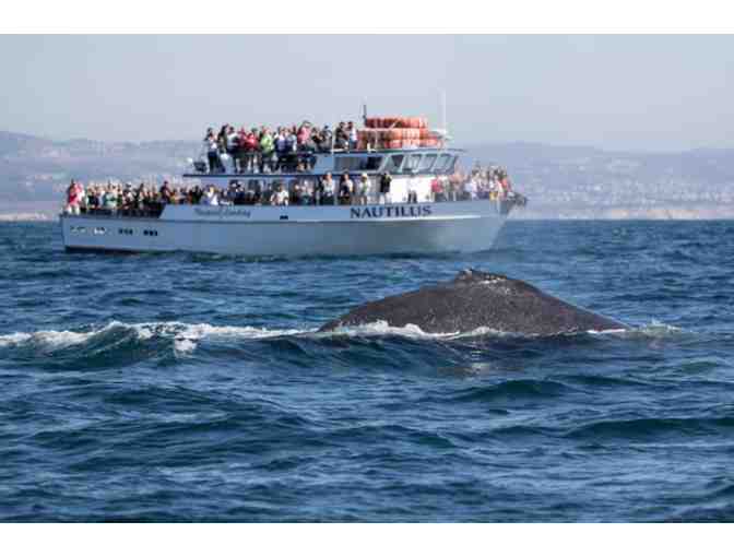 2 Passes for 2-2.5 hour Whale Watching at Newport Landing (Newport Beach, CA)