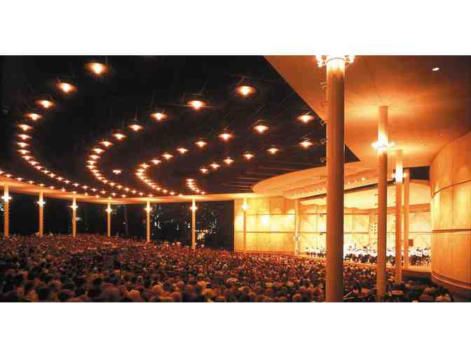 Ravinia four lawn tickets for a 2024 classical performance (Highland Park, IL)