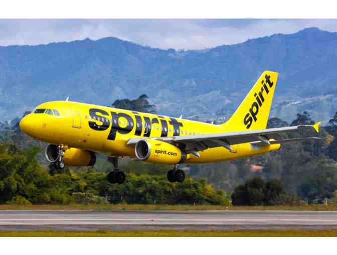 Two RT tickets on Spirit Airlines - domestic and international travel - Photo 3