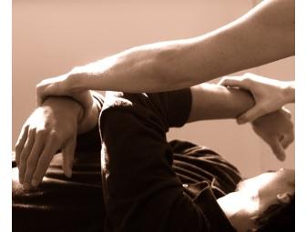 Three Feldenkrais Functional Integration Lessons