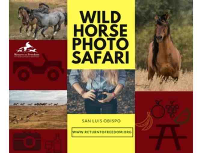 Wild Horse Photo Safari