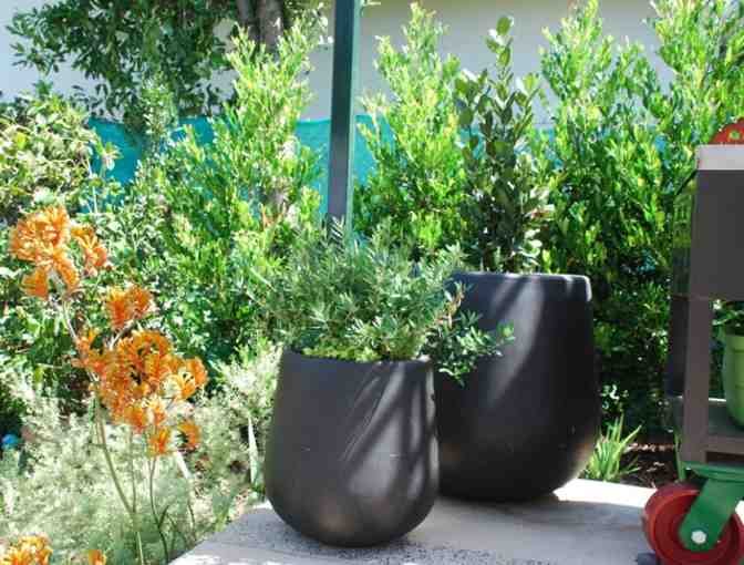 Landscape Architect Consultation with Lillian Montalvo Designs