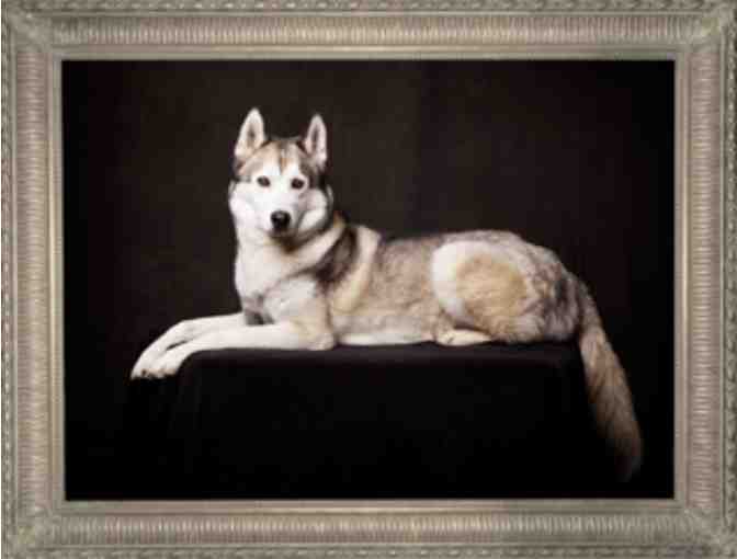 DelaFoto Pet/Family Photography Certificate