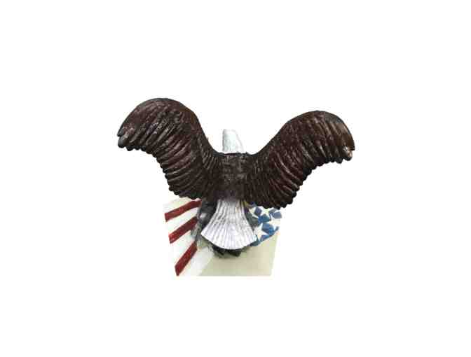 Star Spangled Banner Eagle