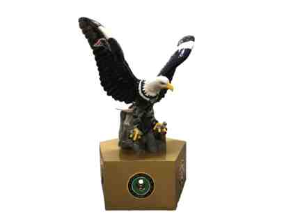 New England Patriots Eagle w/ replica Super Bowl rings