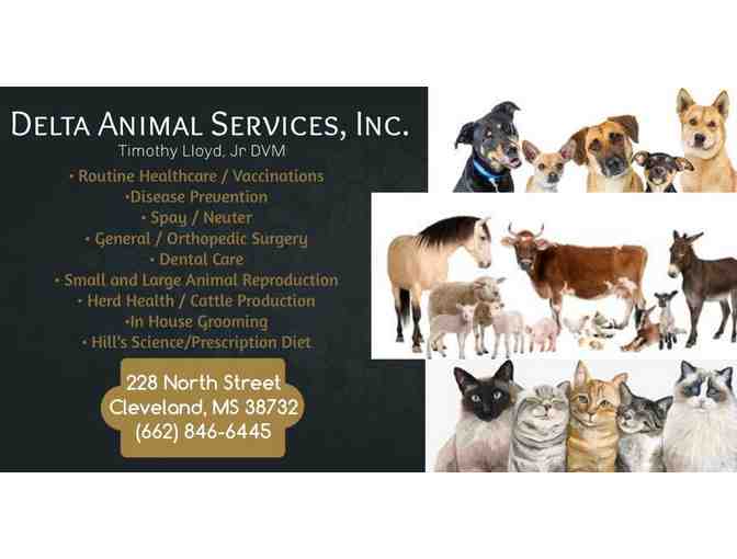 Keeping your PET Healthy - Photo 1