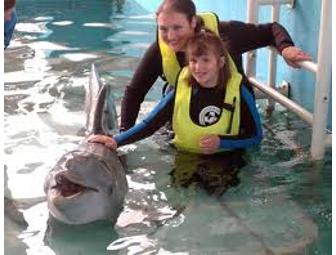 Trainer for a Day! Train with Winter the Dolphin's Trainer!