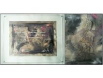 Cello Improvisation by artist and musician Chad Evans