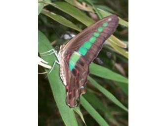 Life Coaching with Colin Ryane - Experience what an emphasis on Qigong can do