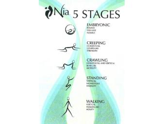 Private Nia 5 Stages Session with Jule at MoveStudio