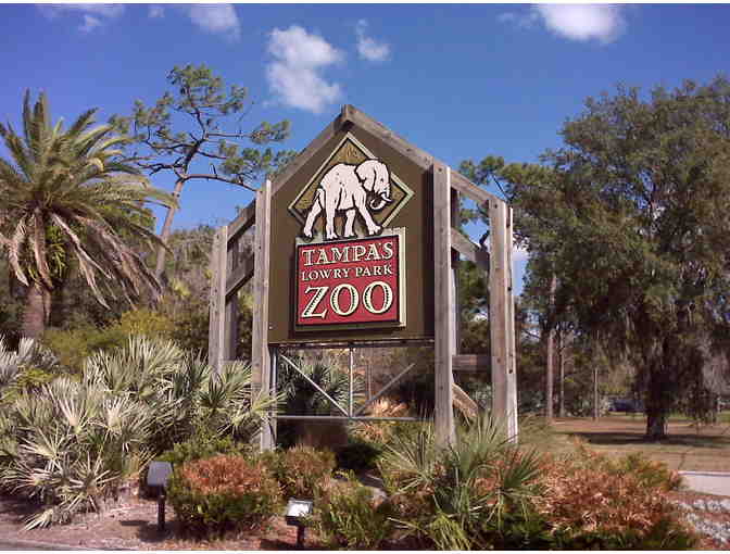 Tampa Family Vacation