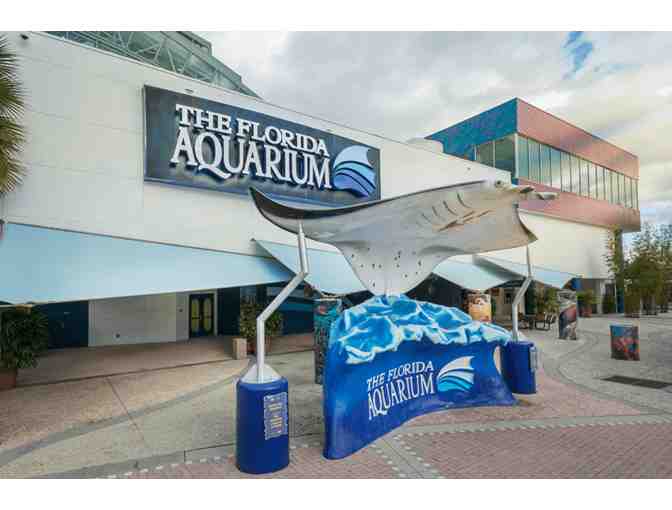 Tampa Family Vacation