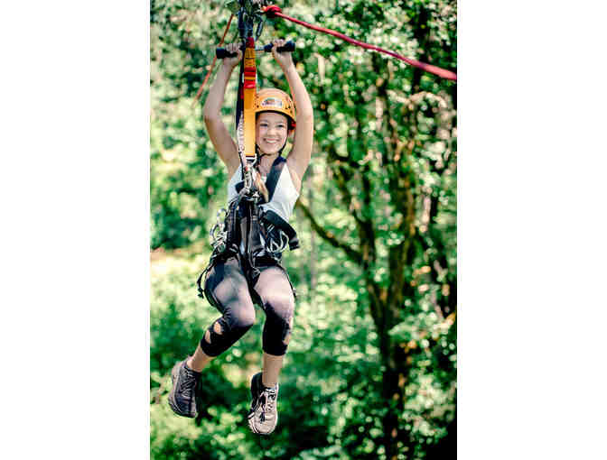 2 Adult Aerial Obstacle Courses at Tree to Tree Adventure