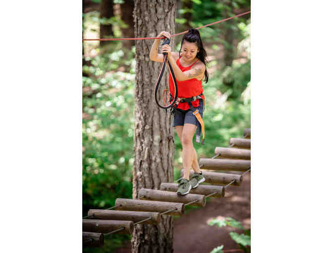 2 Adult Aerial Obstacle Courses at Tree to Tree Adventure