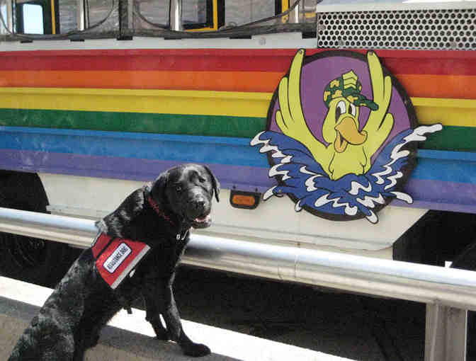 2 Tickets for Boston Duck Tours (Non-Peak Season Only)