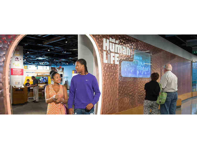 Museum of Science Passes to Exhibit Hall, Planetarium, & Butterfly Garden