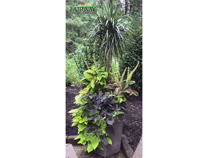 Self watering planter w/ seasonal plants & free landscape consult from Fairway Landscaping