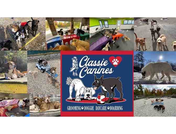 $50 Classie Canines gift certificate