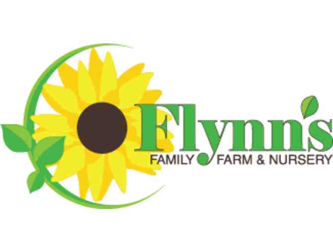 1 Cord of Wood - Delivered in Easton (Flynn Family Farm and Nursery)